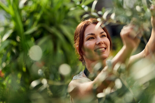 Smiling Woman Tending Plants in a Greenhouse Garden Showing Care, Wellness and Growth