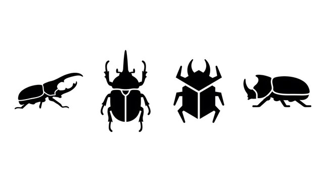 Black beetle insect silhouette icons on white background.