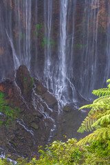 Majestic waterfall cascading down a steep rocky cliff framed by vibrant green ferns. © FdaxssPhotos