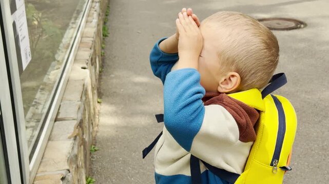 A young boy gazes curiously with happy wonder into an enclosure glass at the Leningrad Zoo in Saint Petersburg. This joyful moment sparks a feeling of innocent excitement and playful discovery.
