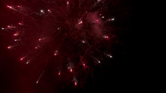 Spectacular red and white fireworks exploding in the night sky