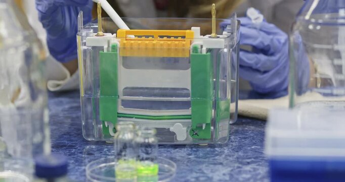 A ready-to-use vertical protein electrophoresis unit, being developed by scientists in a laboratory surrounded by laboratory equipment.