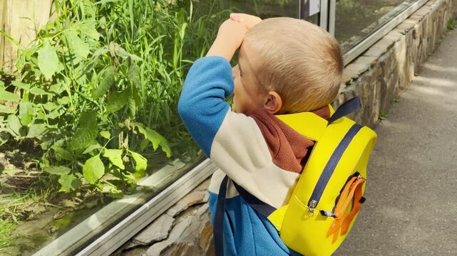 A young boy gazes curiously with happy wonder into a green animal enclosure at the Leningrad Zoo in Saint Petersburg. This joyful moment sparks a feeling of innocent excitement and playful discovery.