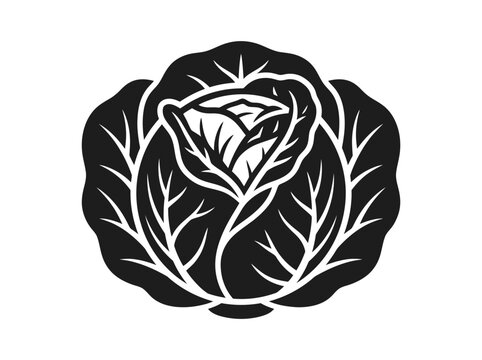 Stylized black and white vector illustration depicting a fresh cabbage head with intricate leaf vein details