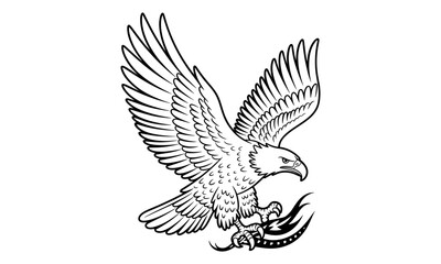 Naklejka premium Eagle Bird Illustration, Majestic Flying Raptor Vector Design for Wildlife Nature Freedom and Symbolic Art Projects