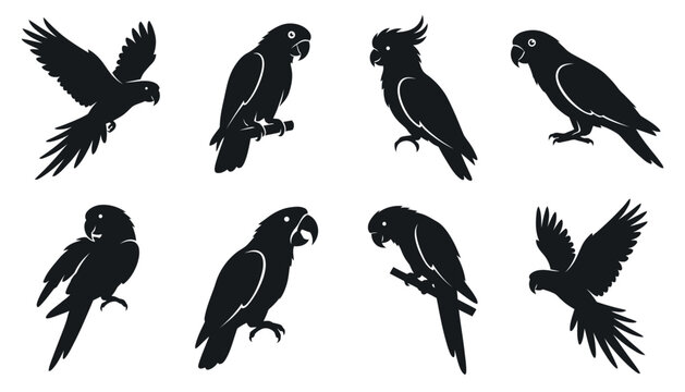 Parrot silhouette collection, 8 tropical bird vector icons. Exotic macaw and cockatoo silhouettes for nature logos and wildlife design.