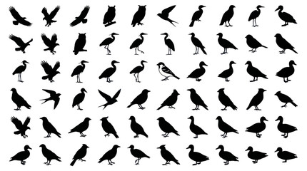 Naklejka premium Black bird silhouettes set including owls and herons.