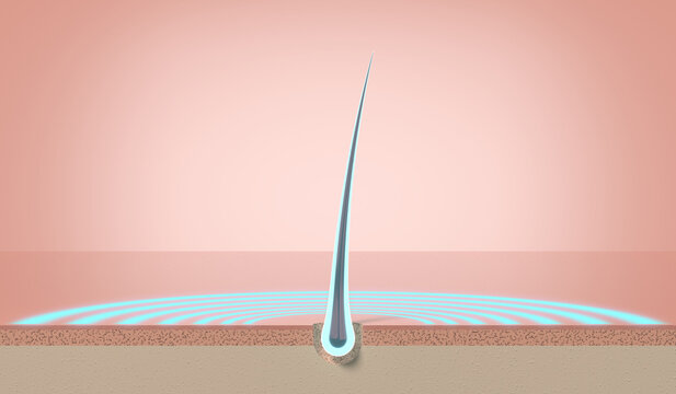 Glowing healthy single hair strand growing from skin follicle - 3d illustration
