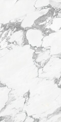 Obraz premium White marble design with grey lines