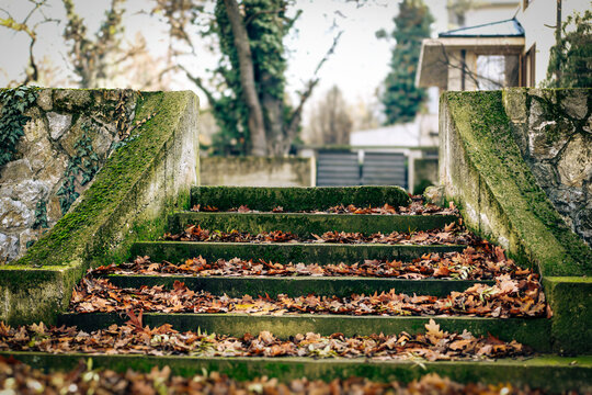 Abstract autumn background with mossy stone steps covered in yellow fallen leaves in the city.