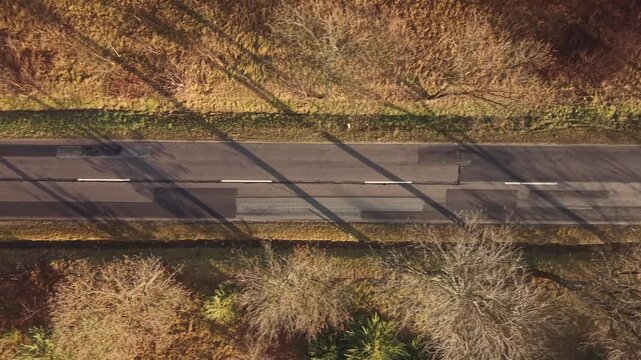 Top down view of rural street and fall trees