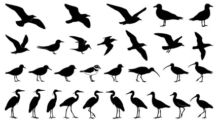 Naklejka premium Collection of various bird silhouettes in rows.