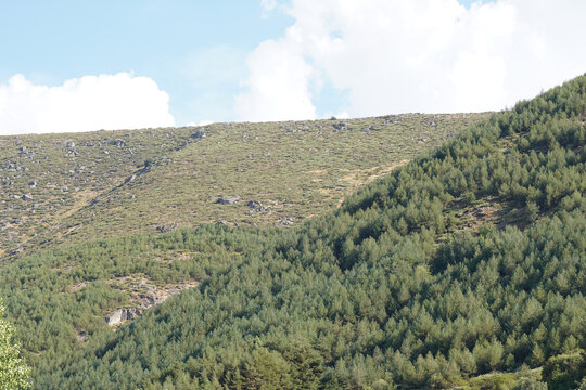 landscape in the mountains