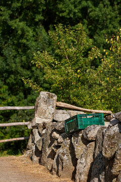 old wooden bench