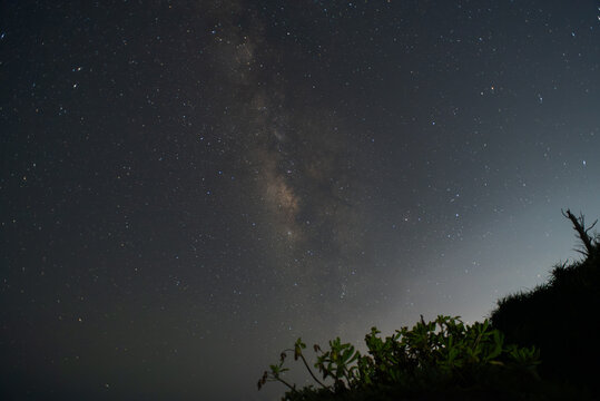 夜空の天の川とシルエットの草木