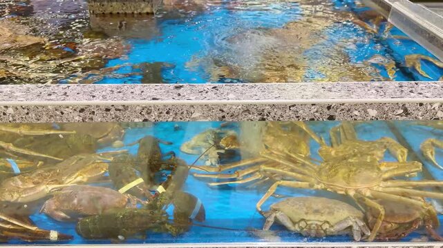 Supermarket Live Seafood Display &ndash; Fresh Crabs, Lobsters, Prawns, Mussels, Clams and Other Shellfish in Aerated Aquarium