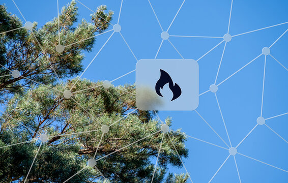Ein digital vernetzter Wald symbolisiert den technologischen Schutz vor verheerenden Waldbr&auml;nden und die &ouml;kologische &Uuml;berwachung des Klimawandels mithilfe von K&uuml;nstlicher Intelligenz.