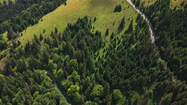 Top View of Transbucegi Road in Romania