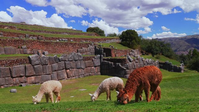 Cusco Saqsaywaman Inca city of Cuzco Peru cityscape landscape rainy season sunny afternoon clouds blue sky Peruvian Andes neighborhood buildings on mountainside Anta Province Plaza de Armas static