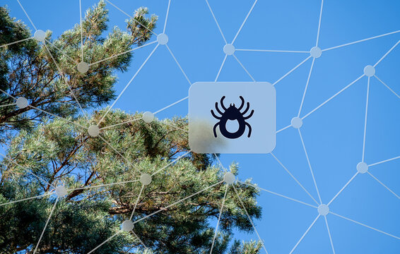 Zeckenwarnung im Wald, digitale Zeckenplage mit Netzwerk-Symbol vor blauem Himmel, Schutz und Vorsicht bei Outdoor-Aktivit&auml;ten im Fr&uuml;hling und Sommer.