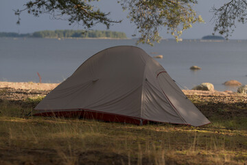 A tent on a picturesque coastline under pine branches © Happyphotons