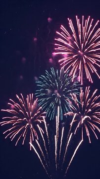 Colorful festive fireworks exploding in the dark night sky during a celebration