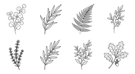 Fototapeta premium Set of hand drawn botanical illustrations featuring various leaves branches and forest plants in black ink style
