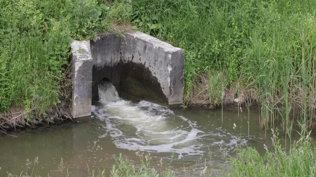 Weathered concrete culvert releases turbulent water into murky pond, surrounded by dense green vegetation and wild grasses; natural, utilitarian scene conveys rural drainage infrastructure