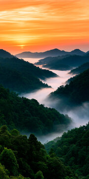 Misty mountains at sunrise with lush tropical forest. Orange sky above green jungle peaks. Morning fog rolls through valleys creating scenic landscape