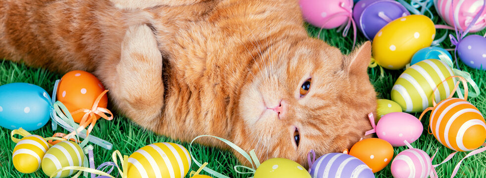 A funny ginger cat sleeping on artificial turf near colored easter eggs