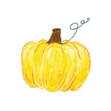 pumpkin on a white background