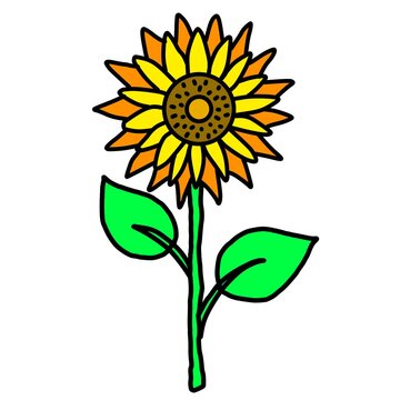 Simple yellow and orange sunflower clip art with green leaves.
