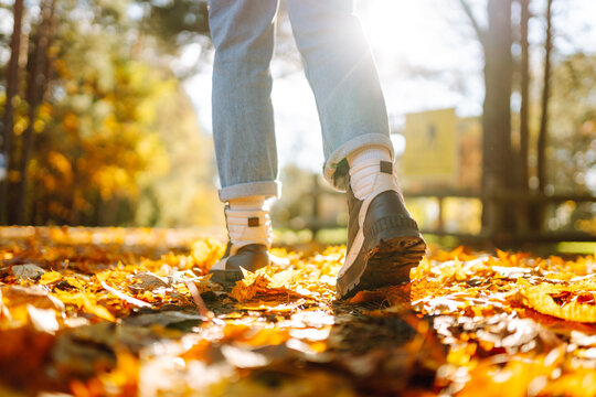 Close-up of hiker's feet walking through clearing strewn with yellow leaves at sunset. Feet in boots walk along path in autumn forest on sunny day. Concepts of seasonality, travel, and nature.