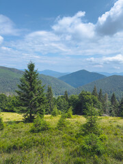 A picturesque panorama of the Carpathian Mountains overlooking Lake Synevyr in Ukraine. Dense, wooded hills covered in pine trees beneath a blue sky