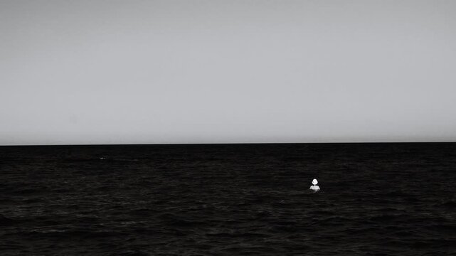 A lone white buoy floating in the ocean, great for sea-themed illustrations and designs