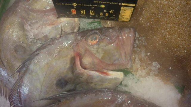 Whole john dory fish displayed on ice in a market, offering fresh seafood for sale