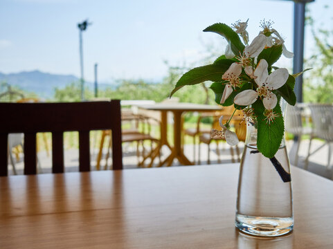 Delicate white apple blossoms in a clear glass vase on a wooden table. A blurred rural cafe terrace and mountain view in the background highlight a peaceful spring getaway and farm to table dining.
