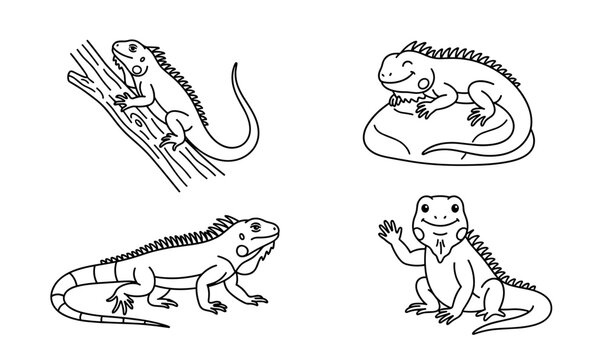 Hand Drawn Iguana Cartoon Character Doodle Set with Reptile Lizard Wildlife Outline Drawings for Kids Coloring Pages