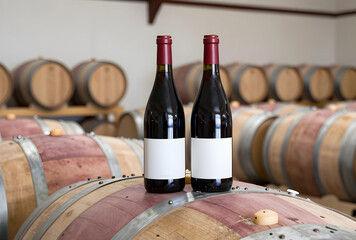 Naklejka premium Wine production and aging process, two red wine bottles with blank labels on oak barrels in a winery cellar