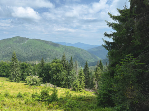 Scenic Carpathian mountains landscape with view of Lake Synevyr surrounded by pine forest in sunny summer day
