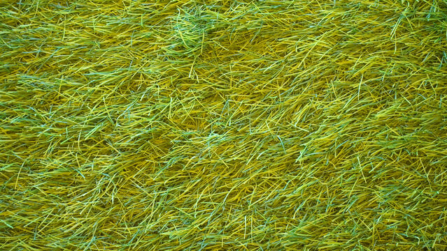 Lush green and yellow artificial grass texture.