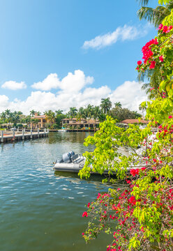 Red flowers and luxury waterfront homes on Fort Lauderdale canal
