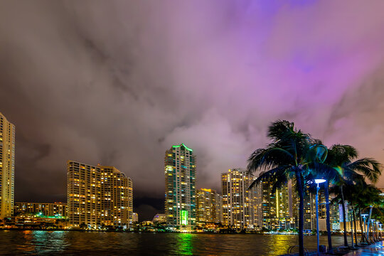 Miami Riverwalk at night with palm trees and skyscraper reflections