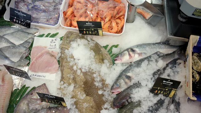 Variety of fresh whole fish, fillets, shrimp, and shellfish presented on a bed of ice at a seafood market stall