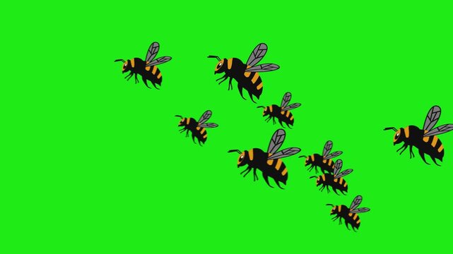 Cartoon animation colony of bee isolated green