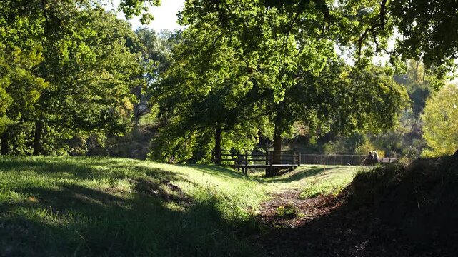 A gentle contour swale and grassy depression woven into the landscape of a public park, serving as a natural drainage channel for stormwater management.&nbsp;Kyneton, Victoria, Australia.