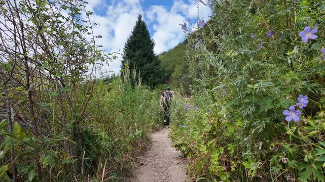 A man with a backpack walks along a narrow dirt path up the mountain. Lush green vegetation, spruce trees, and wildflowers grow along the path