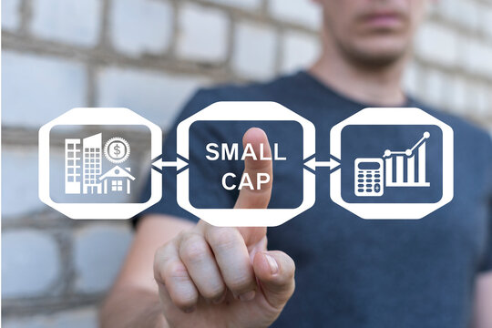 Concept of small cap. Small-cap stock.