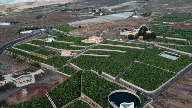 banana plantation on Tenerife Canaria island, Callao Salvaje, 4k aerial