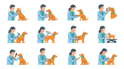 Fototapeta premium Veterinary clinic and domestic pet health care icons.